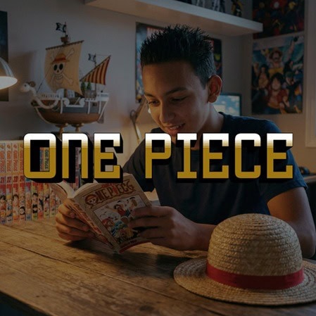Brands - One Piece